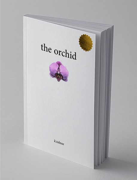 the Orchid