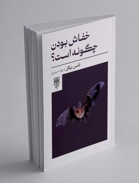 خفاش بودن چگونه است؟