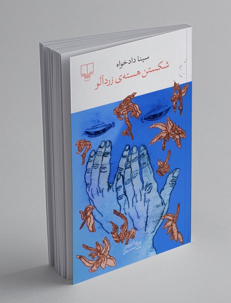 شکستن هسته ی زردآلو