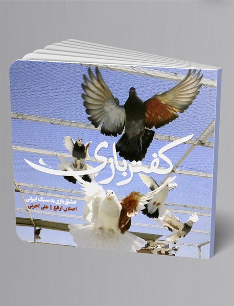 کفتر بازی