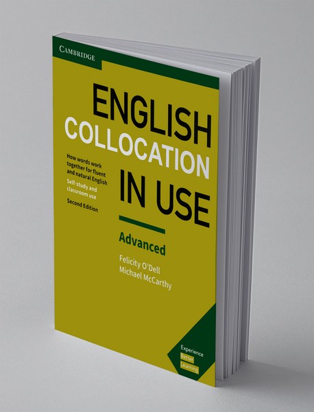 English Collocation in Use Advanced